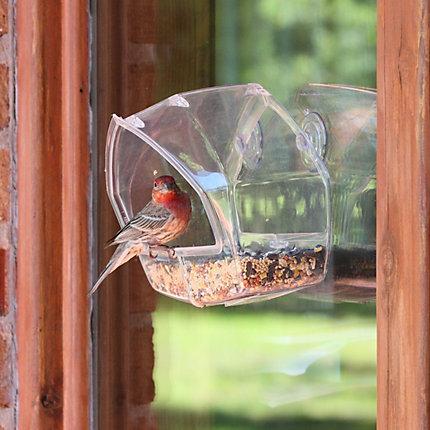 Perky-Pet Birdscapes® Window Feeder KB Depot Express 