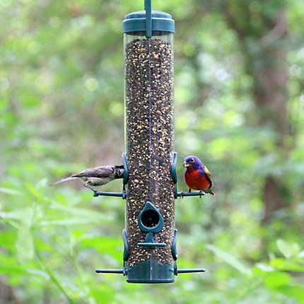 Perky-Pet Classic Wild Bird Feeder