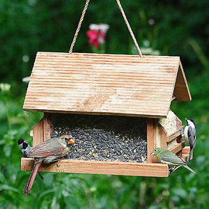 Perky-Pet® The Lodge Wild Bird Feeder KB Depot Express 