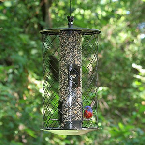 Perky-Pet Birdscapes® The Preserve™ Feeder KB Depot Express 