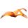 Pteranodon