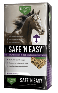 Buckeye Safe n Easy Horse Feed Aurora Winds 