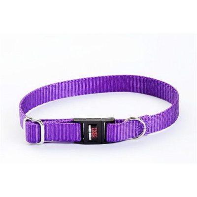 Reflex Collar 1/2" Brk-Away w/Violet Ref. Dog Supplies Reflex Corporation 