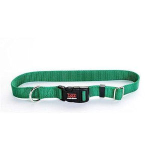 Reflex Collar 1"x25" Green Dog Supplies Reflex Corporation 