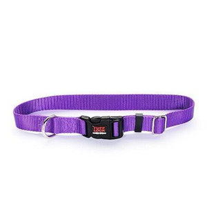 Reflex Collar 1"x25" Violet Dog Supplies Reflex Corporation 