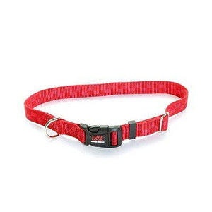 Reflex Collar 3/4"x17" Red Checker Dog Supplies Reflex Corporation 