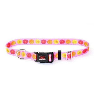 Reflex Collar 3/4"x17" Daisies Dog Supplies Reflex Corporation 