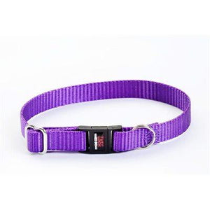 Reflex Collar 1/2" Break-Away Violet Dog Supplies Reflex Corporation 