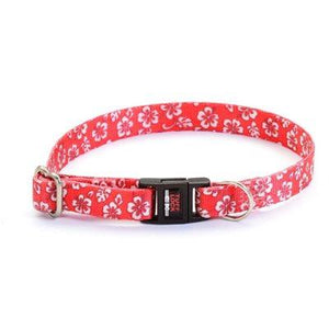 Reflex Collar 1/2" Break-Away Red Hawaii Dog Supplies Reflex Corporation 