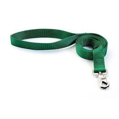 Reflex Leash 1"x6" Green Cat Supplies Reflex Corporation 