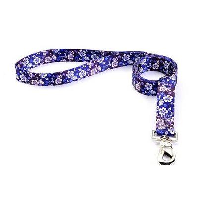 Reflex Leash 5/8"x6" Aloha Breeze Cat Supplies Reflex Corporation 