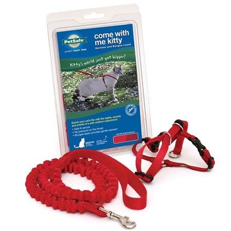 PETSAFE Come with Me Kitty Harness Bungee Leash Red Medium Cat 1X1PC