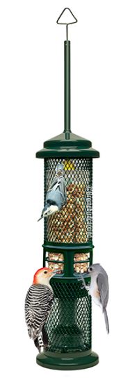 Brome Squirrel Buster Nut Feeder Bird