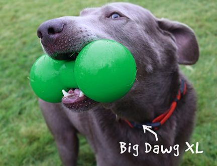 Ruffdawg Big Dawg XL Dog 1X1PC