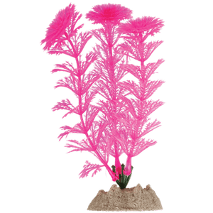 Spectrum GloFish Plant Small Pink Aquatic Pet Science 