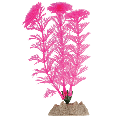Spectrum GloFish Plant Small Pink Aquatic Pet Science 