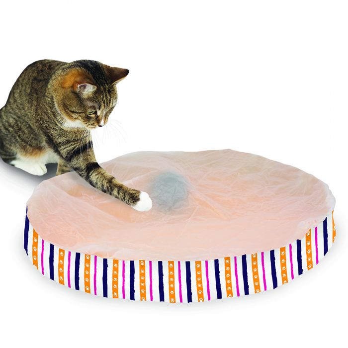 Turbo Random Roller Cat 1X1PC 22in