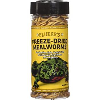 Fluker's Freeze-Dried Mealworms Small Animal Supplies Kakabeka Depot Express 