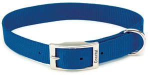 Coastal Single Ply Nylon Dog Collar Blue 1x20in