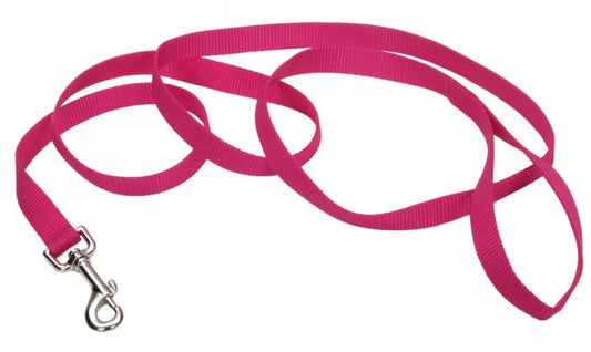 Coastal Single Ply Nylon Leash Pink Flamingo Dog 1X1PC 1inx4ft