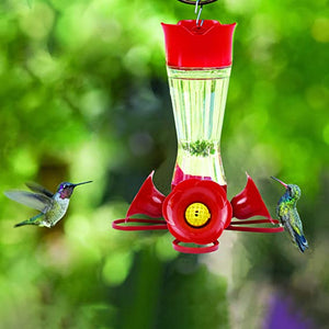 Perky-Pet Favored Pinch-Waist Hummingbird Feeder