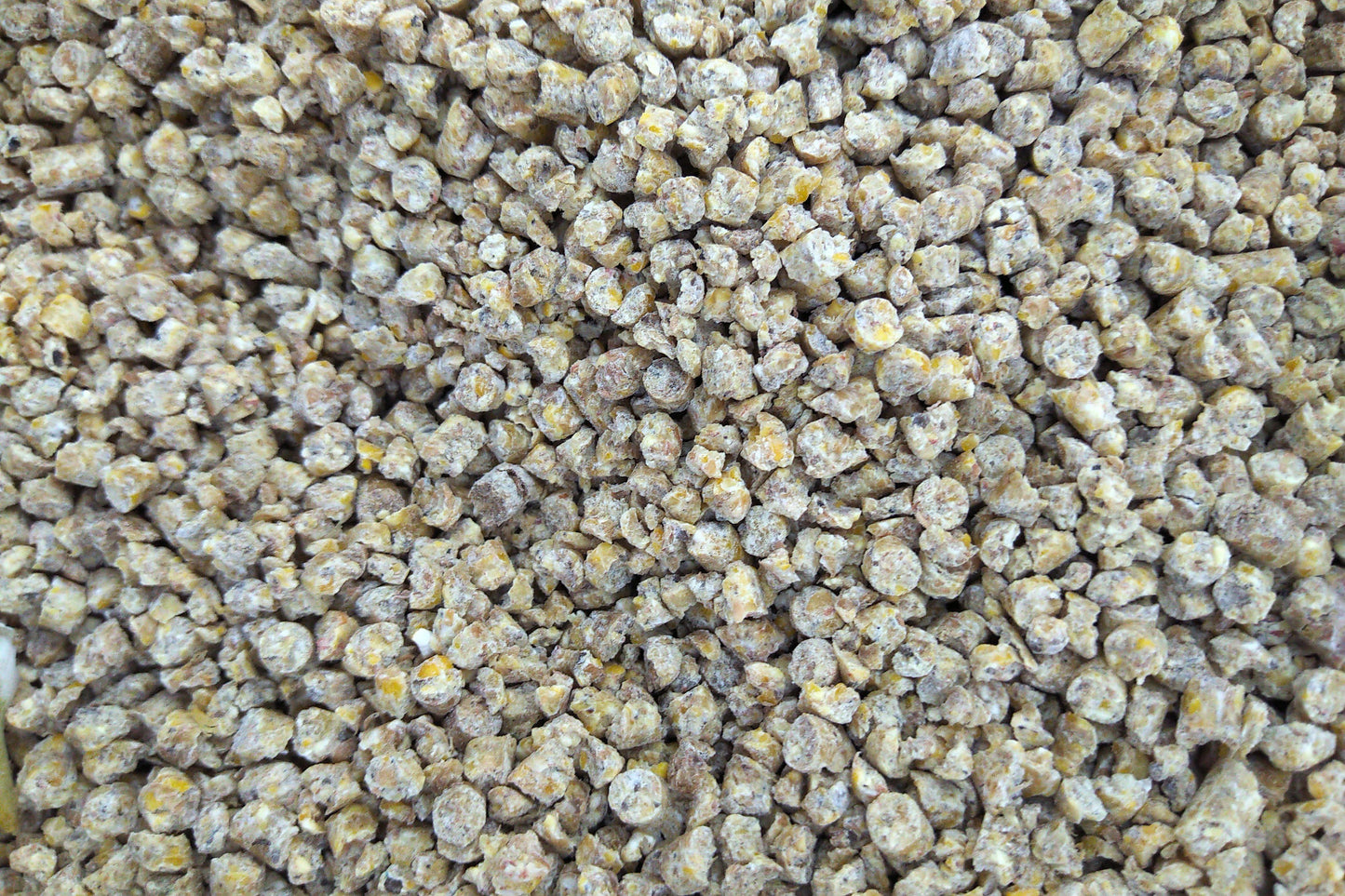 Layer Crumbs 17% NON-GMO Livestock Feed Maitland Natural Valley Feeds 