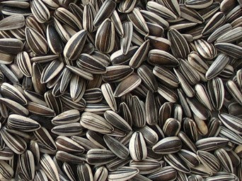 Topcrop Striped Sunflower Seeds 11kg