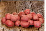 Mckenzie Seed Potatoes 10lb