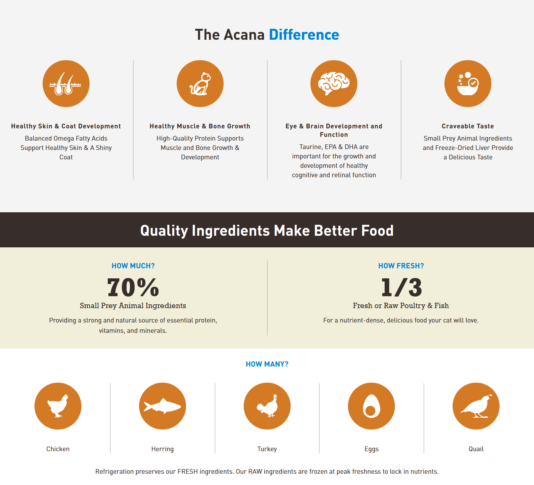 Acana Cat - First Feast Dry Cat Food Cat Food Champion Pet Foods 