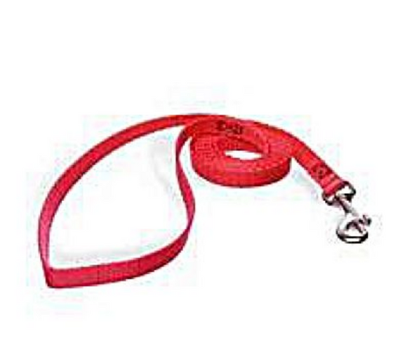 Petmate 4 Foot By 5/8 Inch Nylon Red Leash (Med)