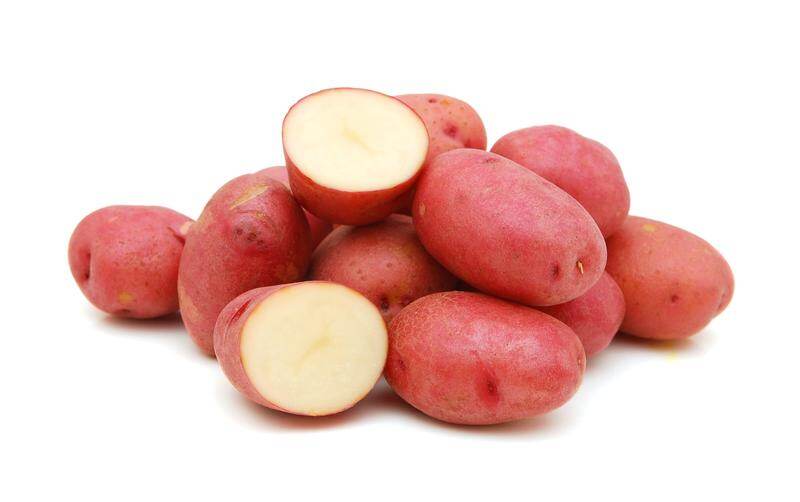 Mckenzie  Seed Potatoes 4.4lb