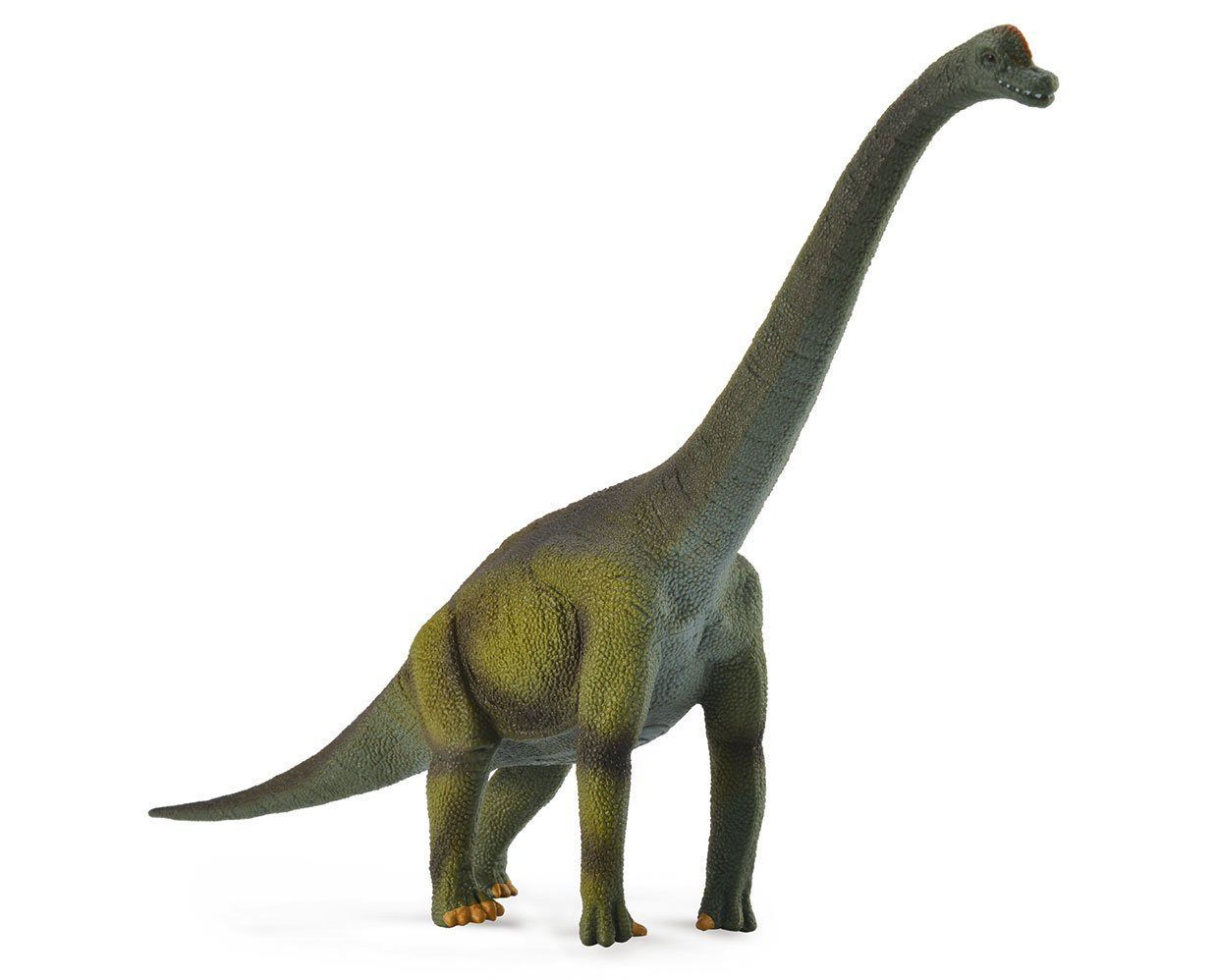Brachiosaurus Toy Breyer 
