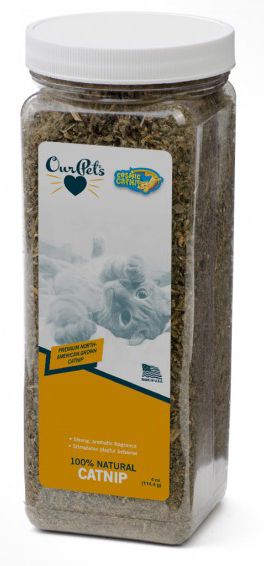 Cosmic Cat Catnip Jar Cat 1X4OZ