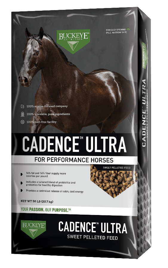Cadence Ultra Pelleted Feed Horse Feed Buckeye 