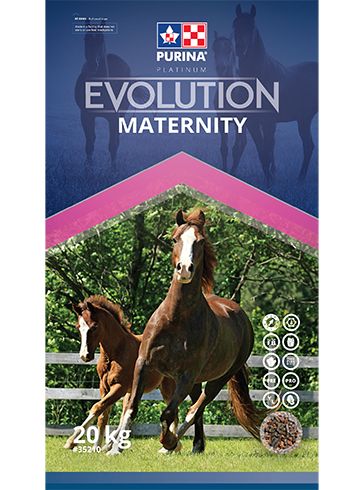 Purina Chow Evolution Maternity Horse 20KG