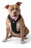 GF Pet Travel Harness Black XLarge Dog 1X1PC