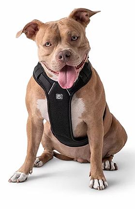 GF Pet Travel Harness Black Small Dog 1X1PC