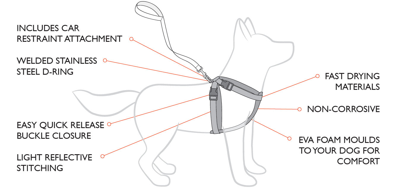 EzyDog Chest Plate Harness Bubble Gum