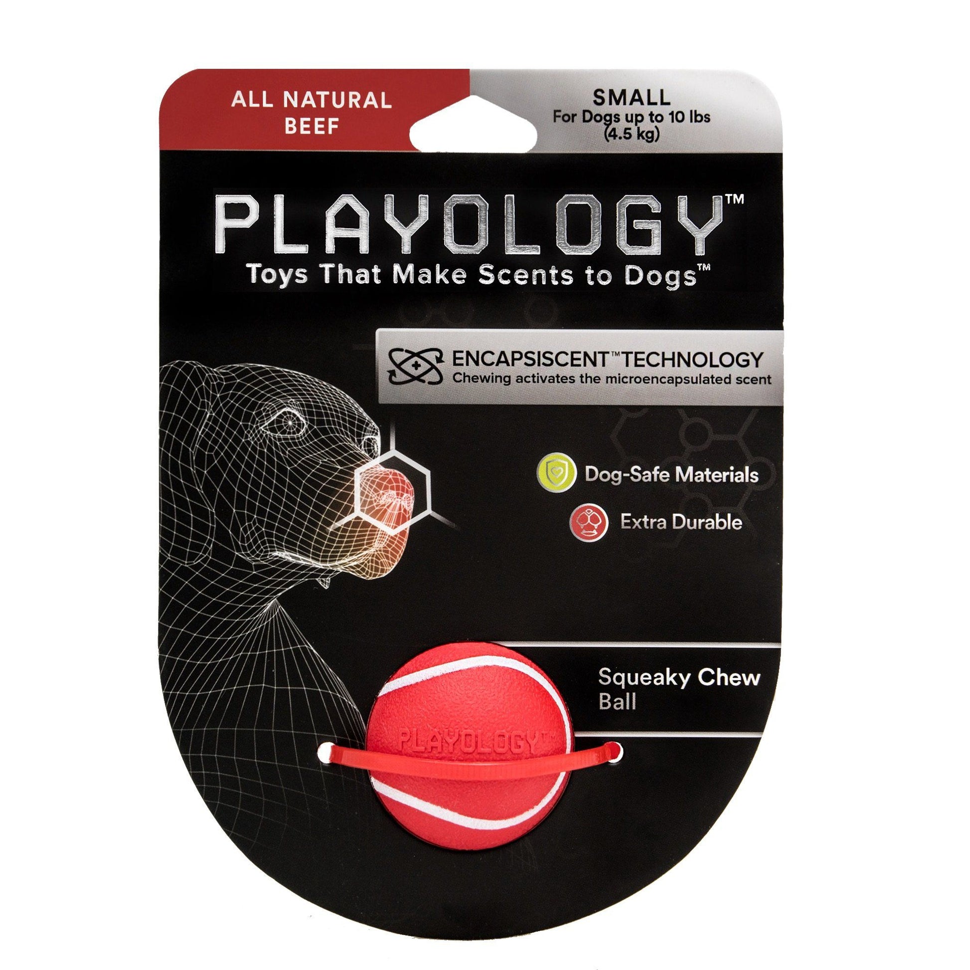 Squeaky Chew Ball - Beef Scent Dog Toy Kane Vet Supplies Small 