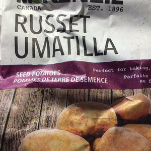 Russet seed potatoes