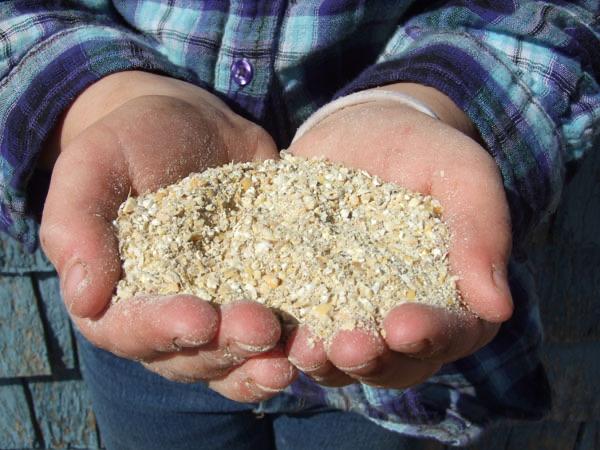 Hog Meal Grower 15.5% Livestock Feed Jones Feed Mill 