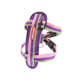 EzyDog Chest Plate Harness Bubble Gum