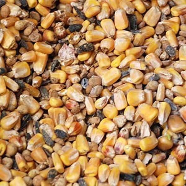 Goat Ration 15% High Energy XL Livestock Feed Jones Feed Mill 