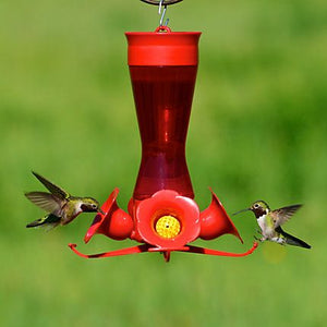 Perky Pet Four Flower Hummingbird Feeder