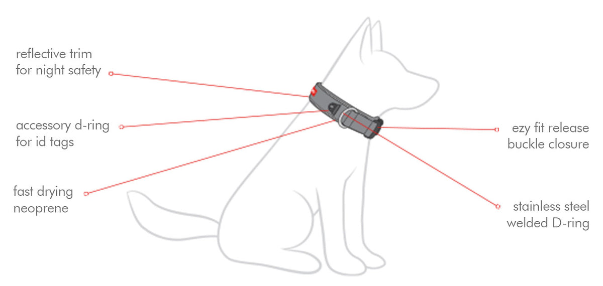 EzyDog Neo Collar Bubble Gum Large Dog