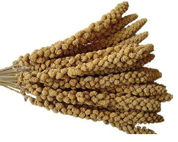TopCrop Spray Millet Bird Seed