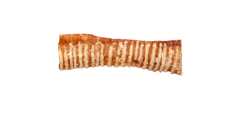 Beef Trachea 5-6” Dog Treats Kane Vet Supplies 