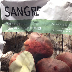 Sangre seed potatoes