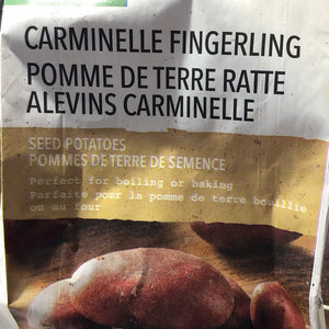 Carminelle fingerlings