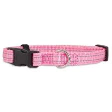 Petmate Padded Reflective Leash (Medium)